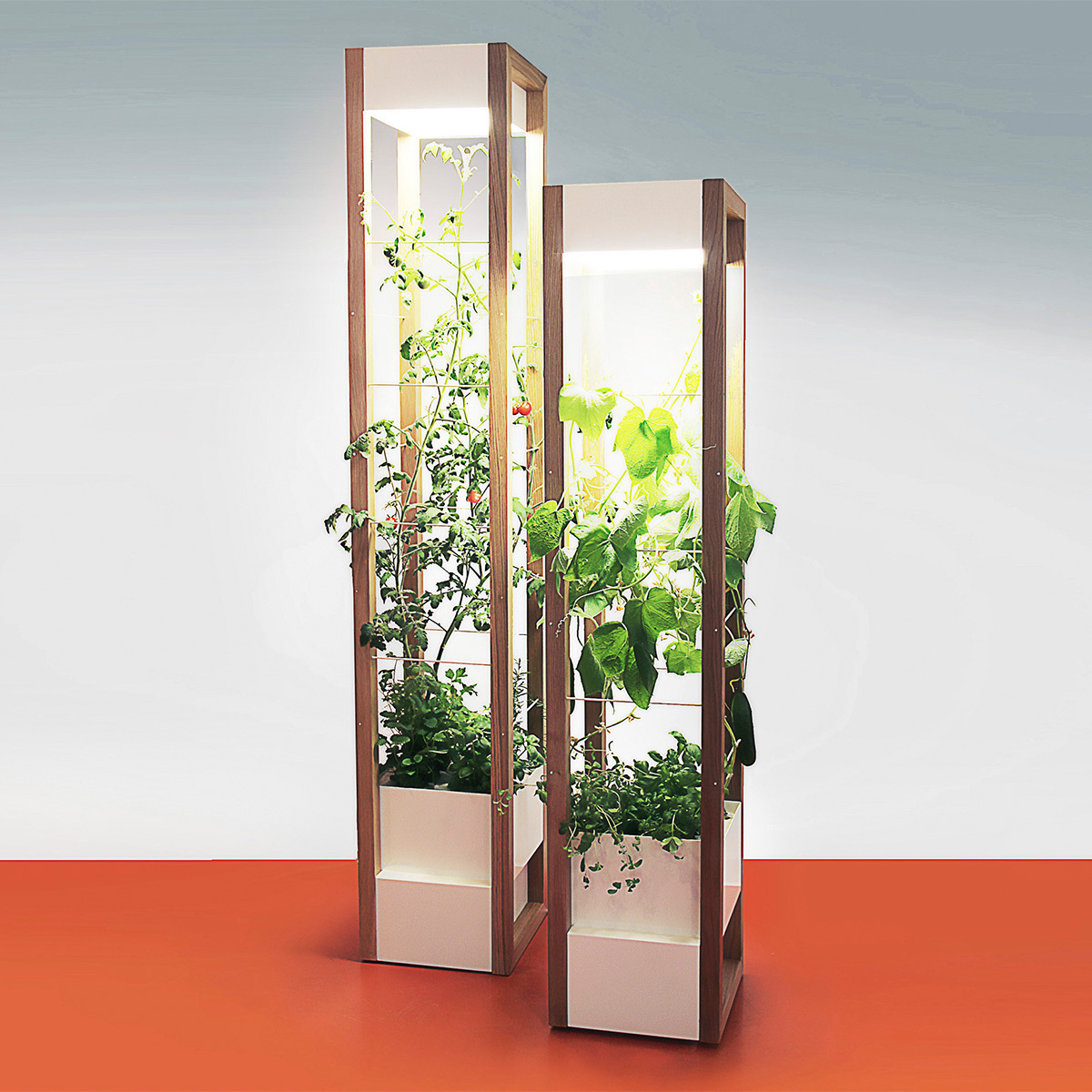 Vegetable Living Room Takeover Raiseaplant Copyright raiseaplant Vienna Design Week 1200x1200