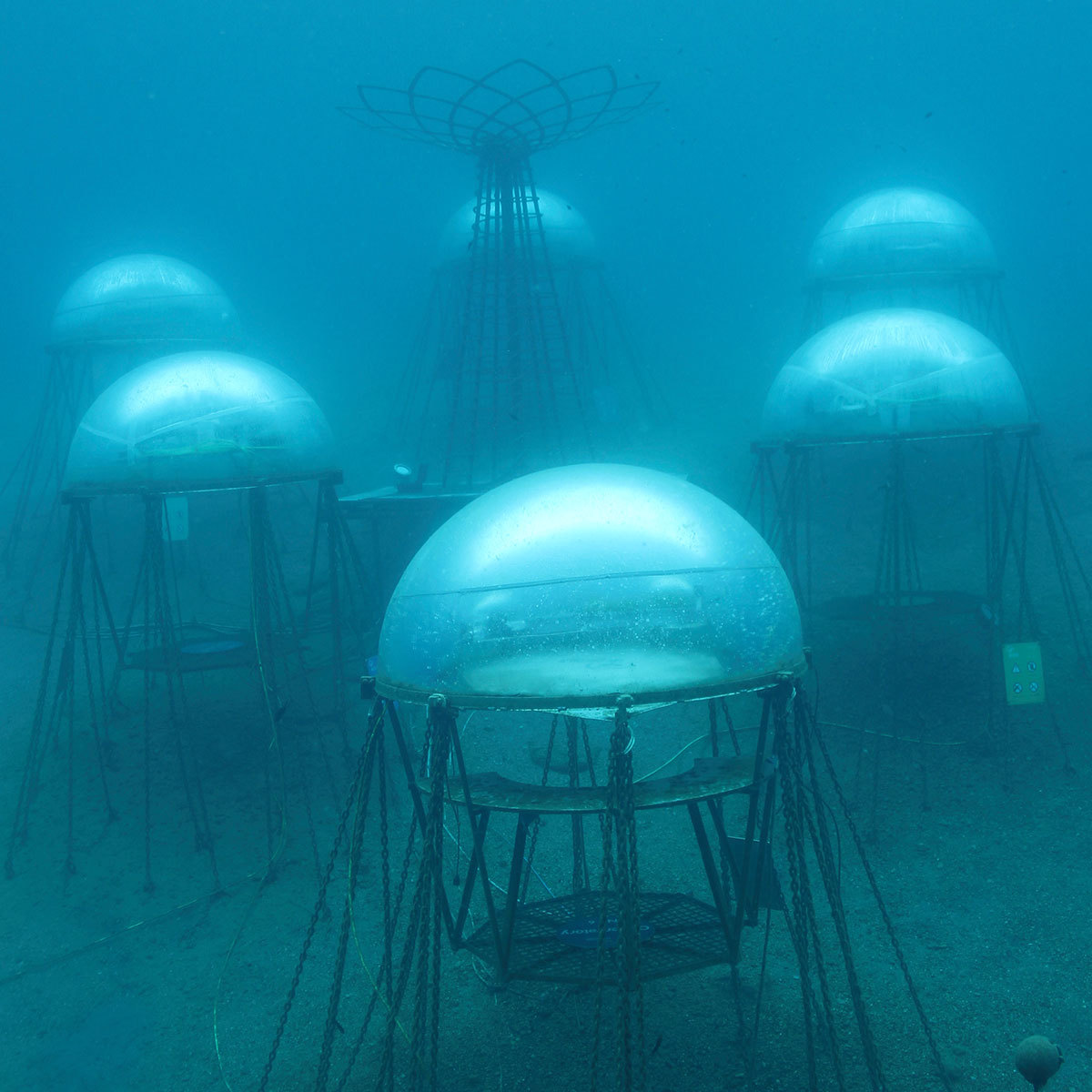 100 GS 2019 images 1200x1200 7