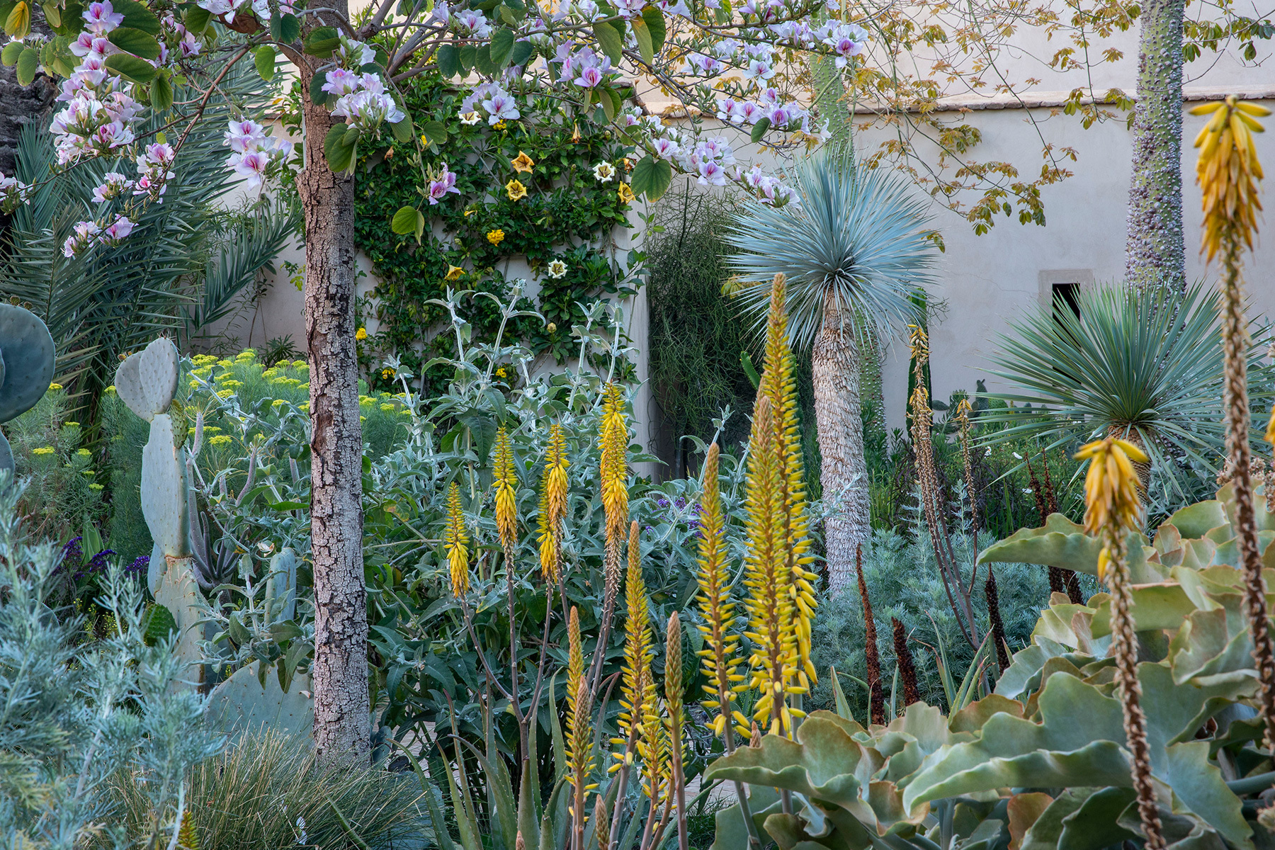 100 GS 2019 images horizontal 1800x1200 2