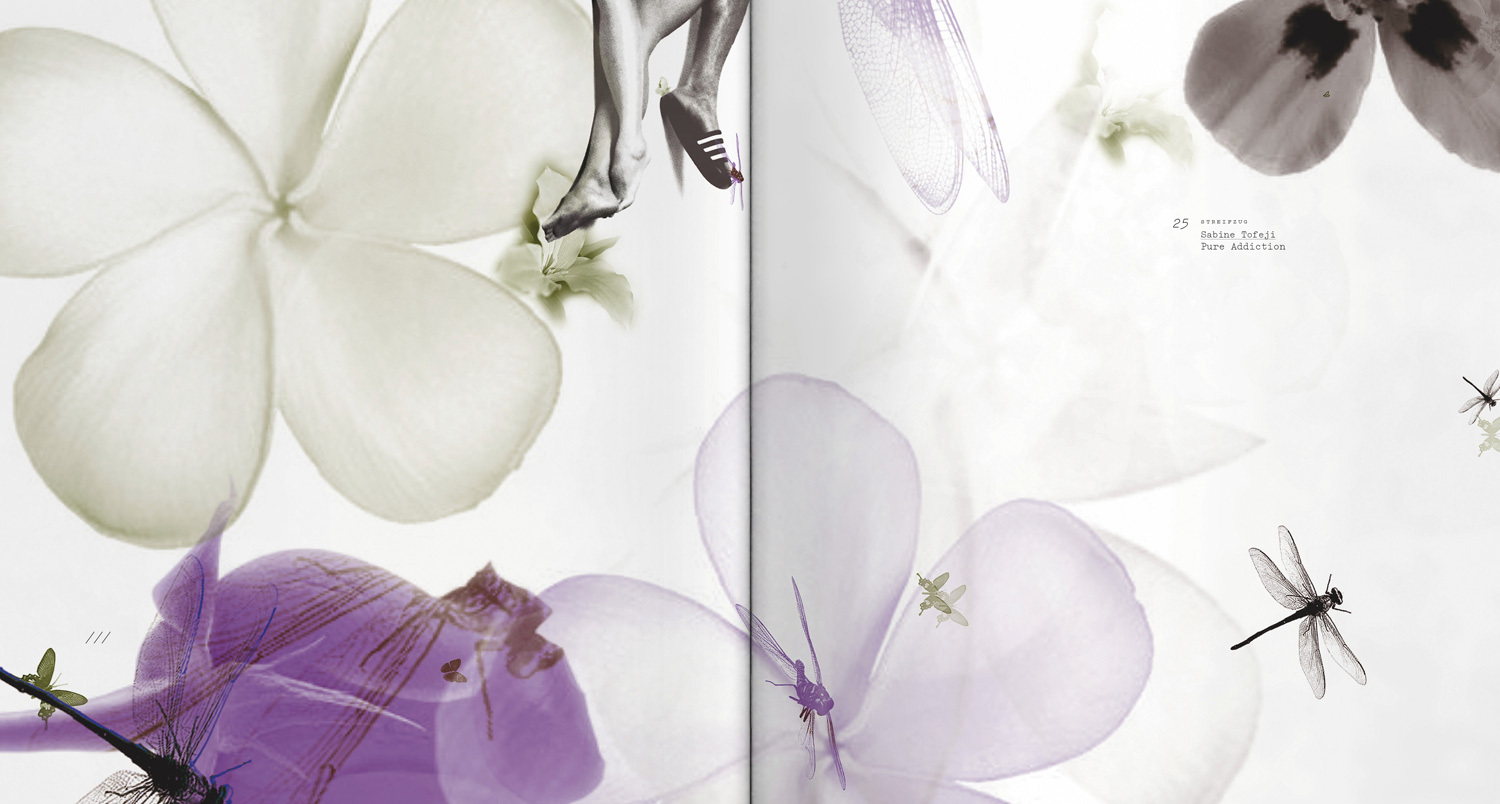 Adidas Streifzug DS 1500x804px 3