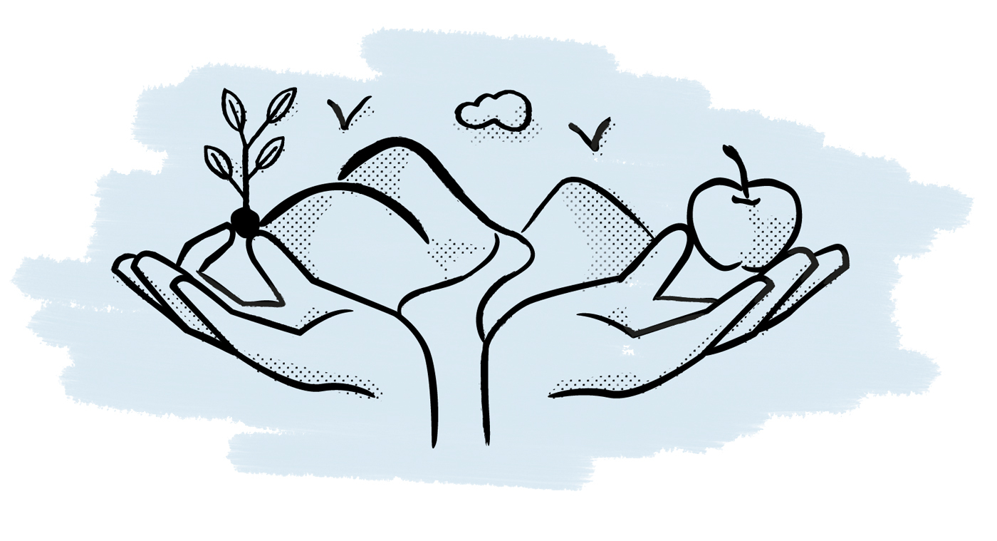 AH Illu Equilibrium 1400x759px