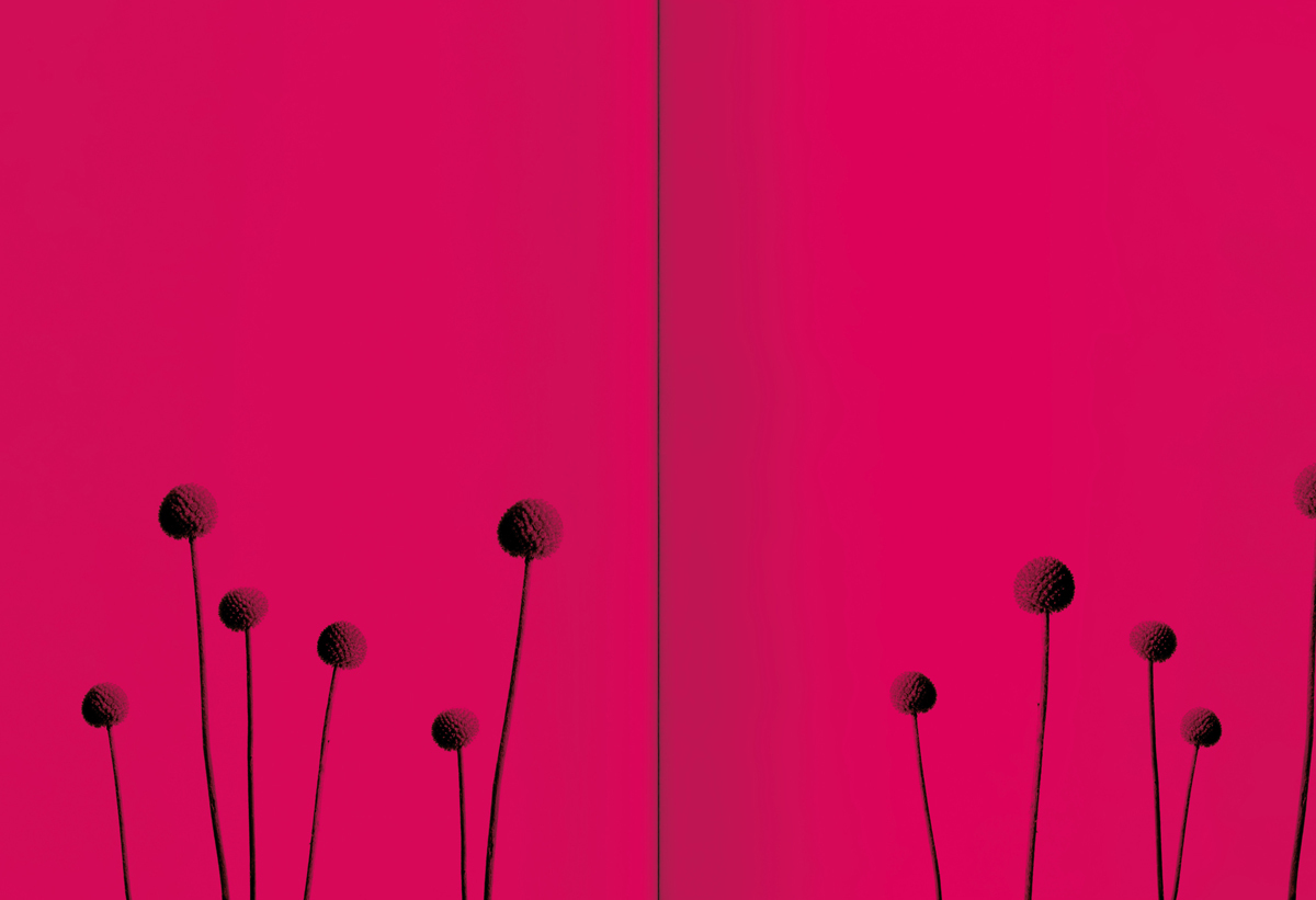 Departure Lookbook2009 1200x821 22