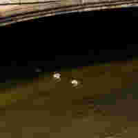 Alle Formate enten