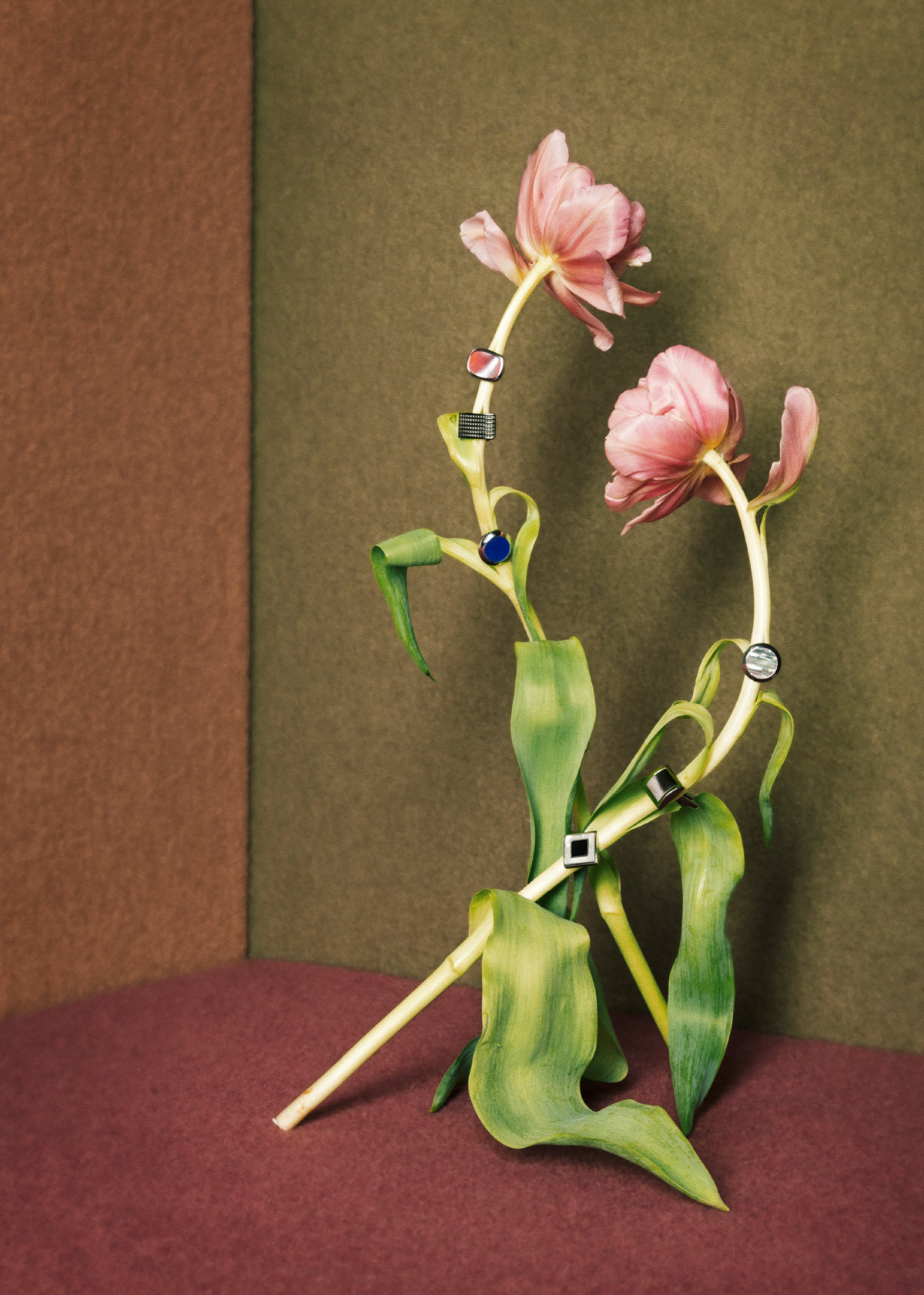 H BT 2 stilllife katsey 02