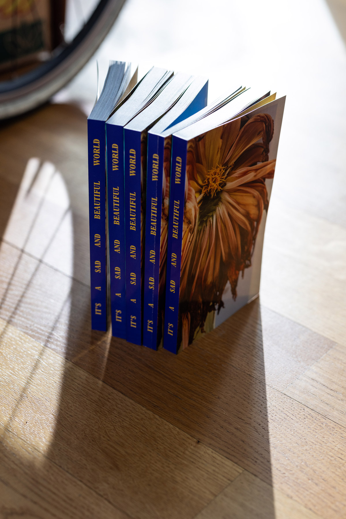 KV Vanilla 1200px 5 VY7267