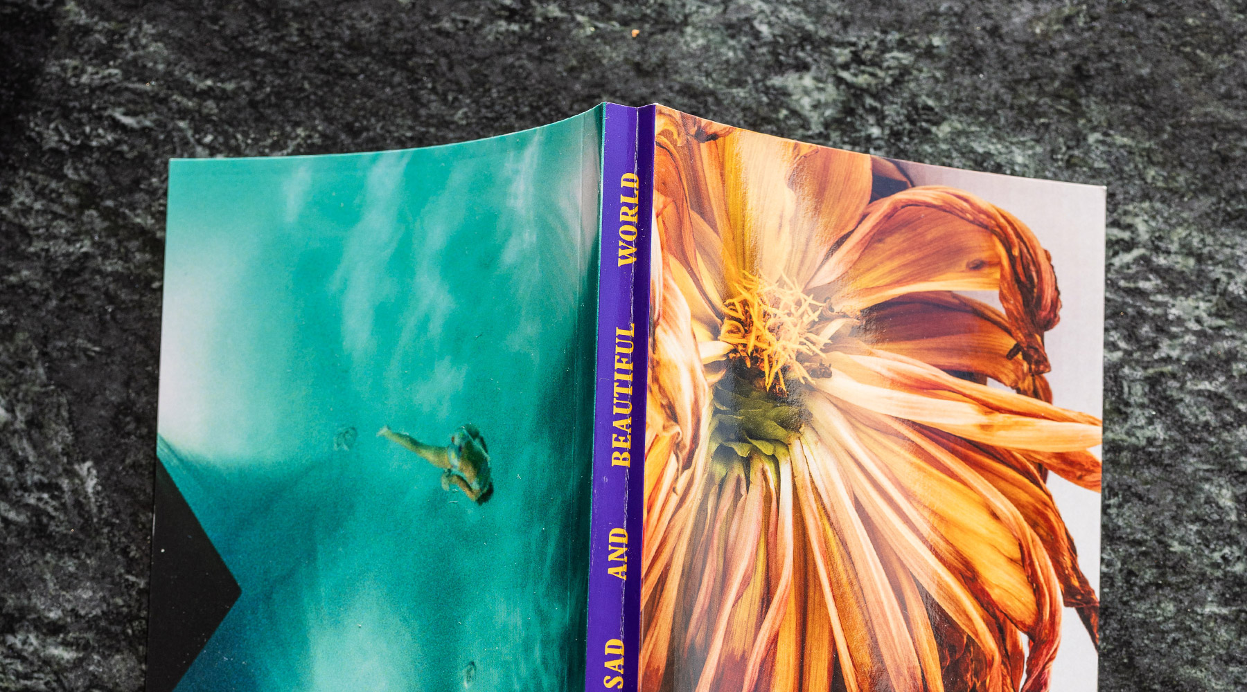 KV Vanilla Cover 1800x1000px 04