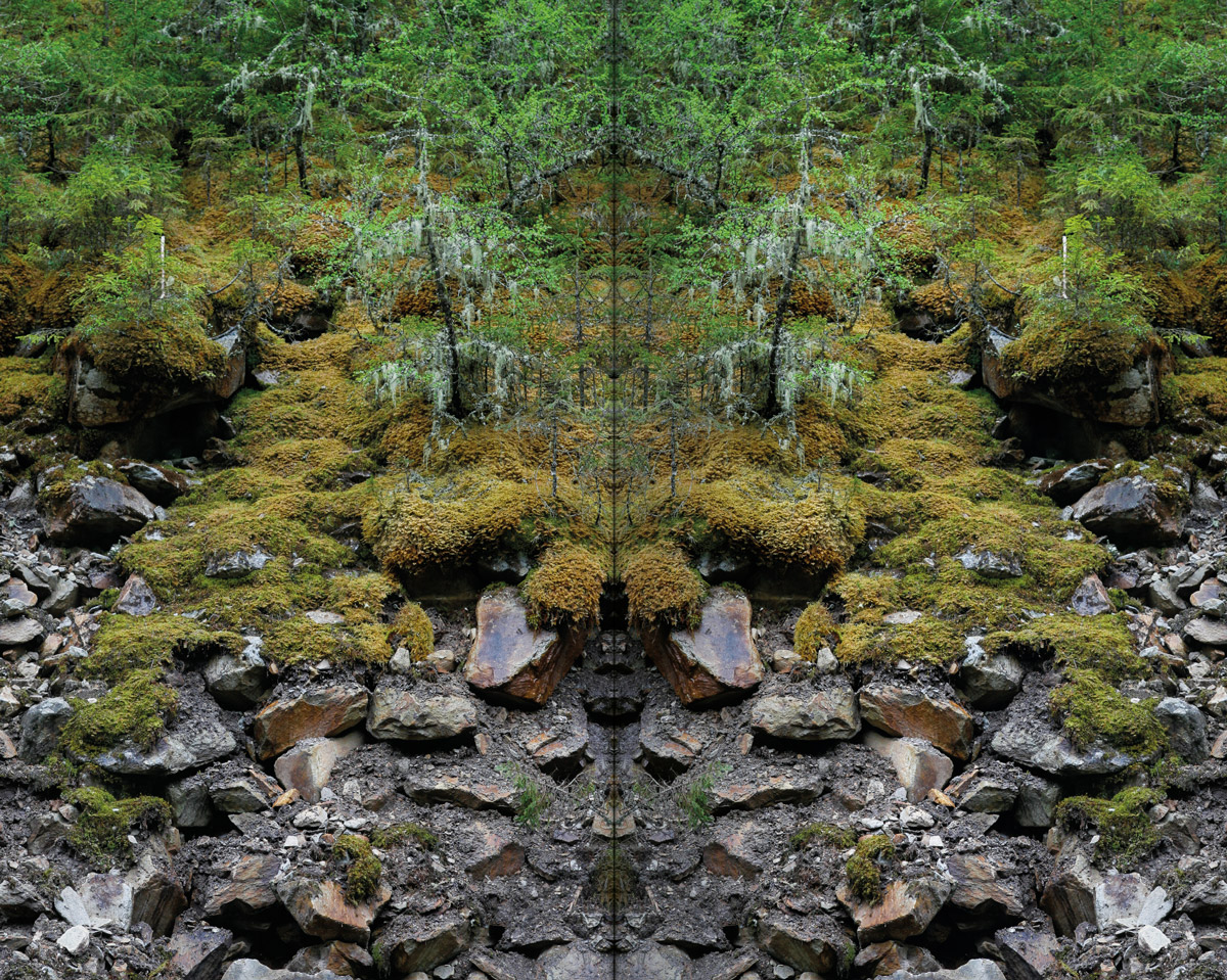 Vanilla blurb ALL Indigo 240301 15