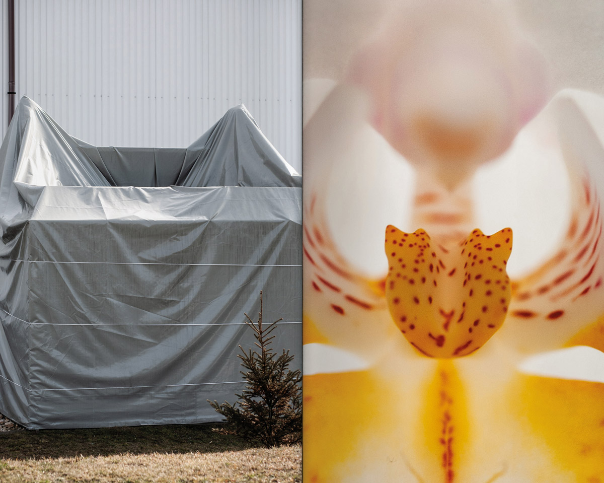 Vanilla blurb ALL Indigo 240301 27