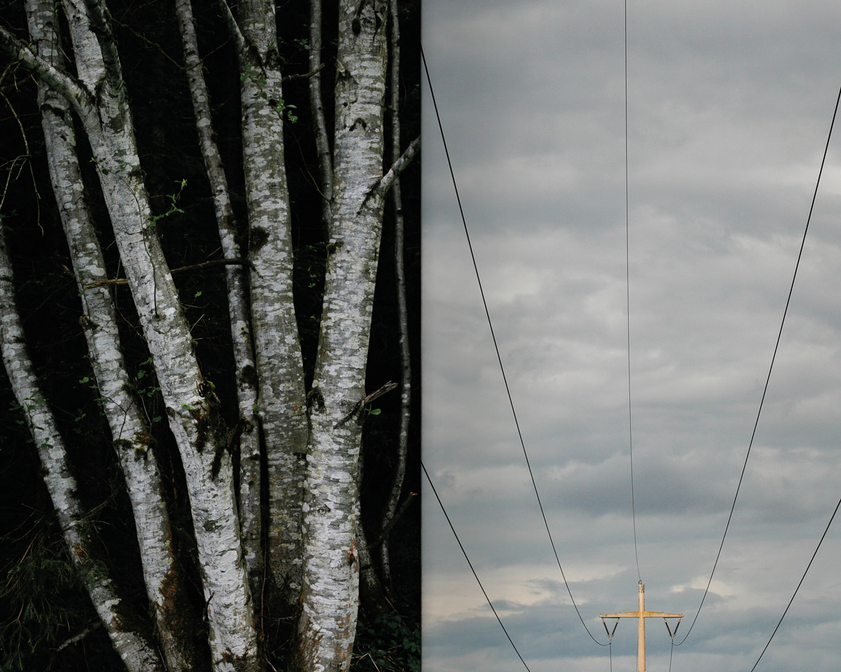 Vanilla blurb ALL Indigo 240301 66