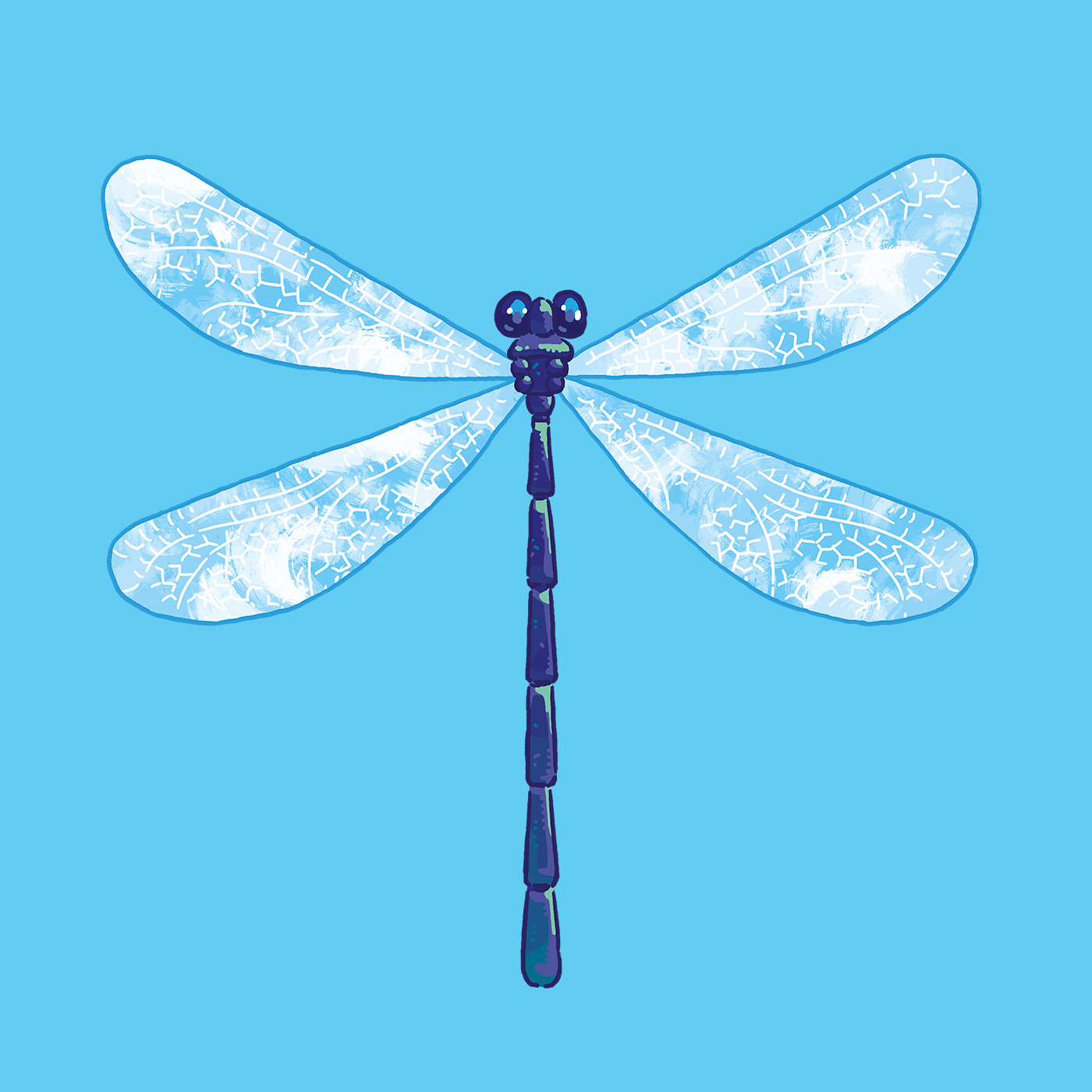 MQ Libelle Illustration BG 1x1 Lukas Buda