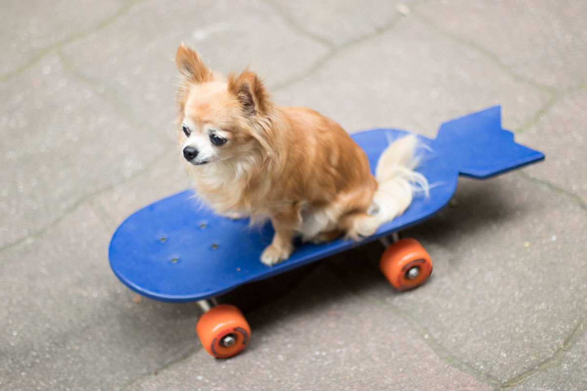 MQ SOMMER2018 IMG skatebomb web 16