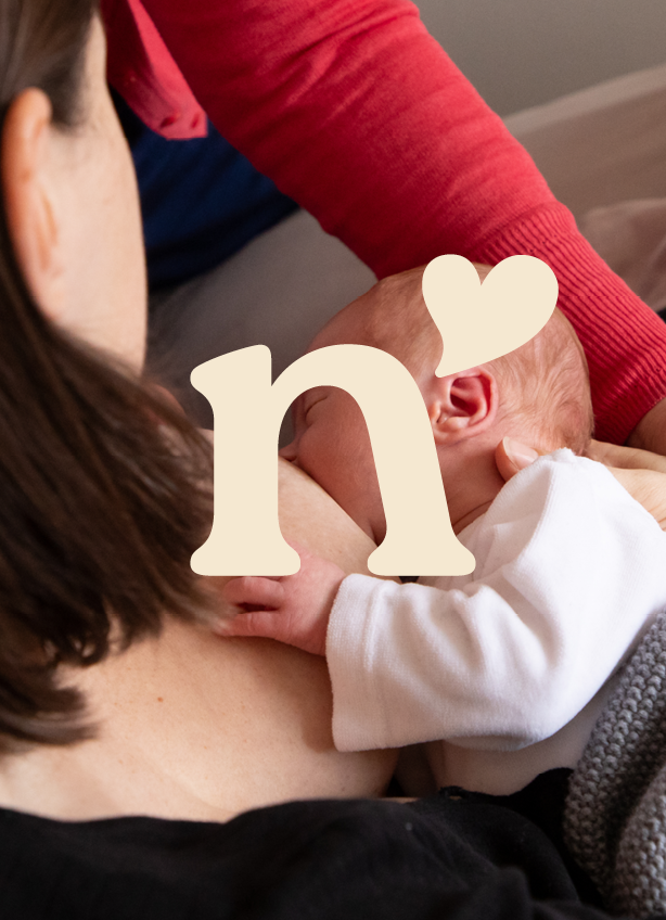 Neugeborenes Baby stillt an der Brust einer Person; Innenaufnahme zu Hause.