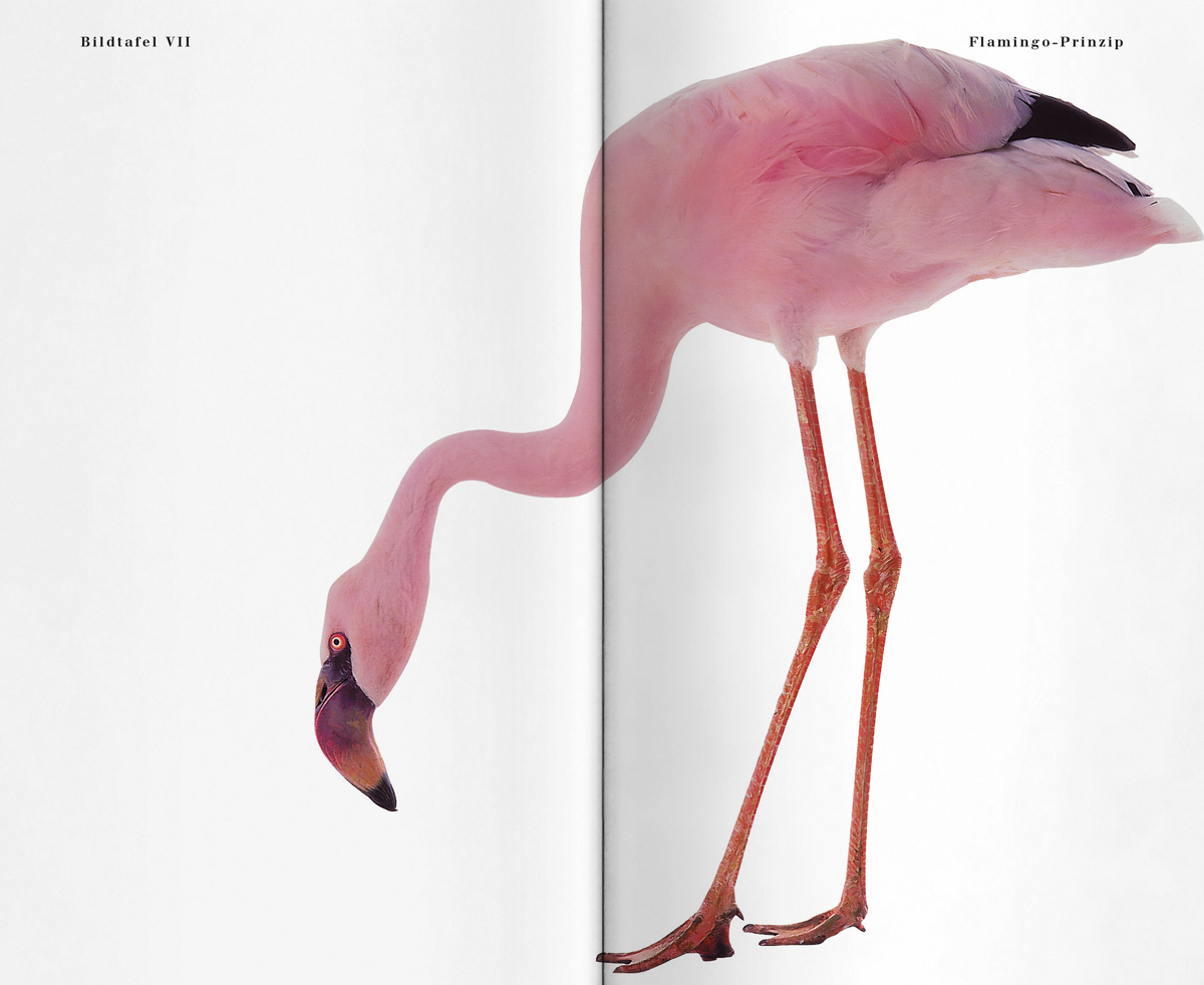 OEBB WW Doppelseiten 06