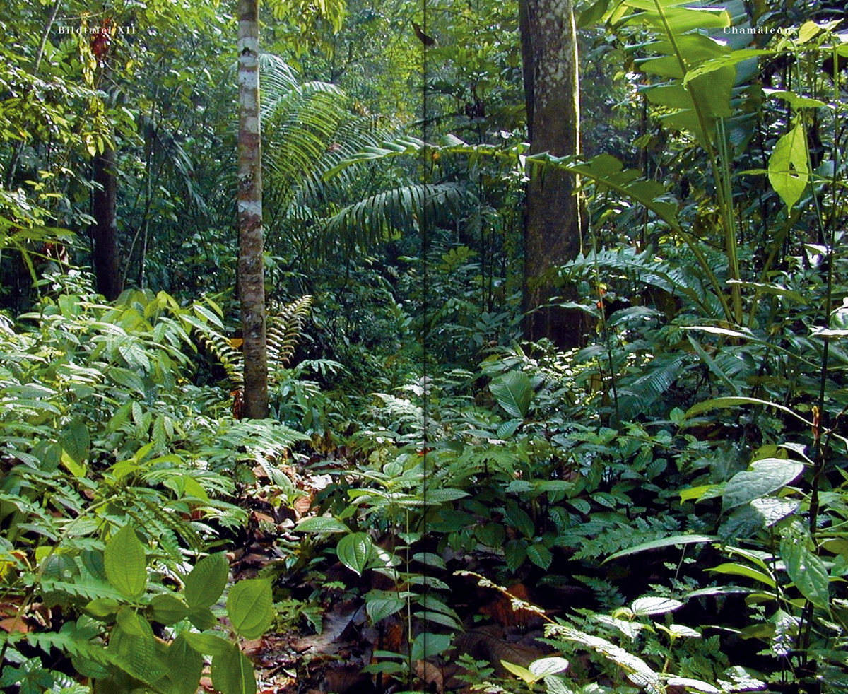 OEBB WW Doppelseiten 08