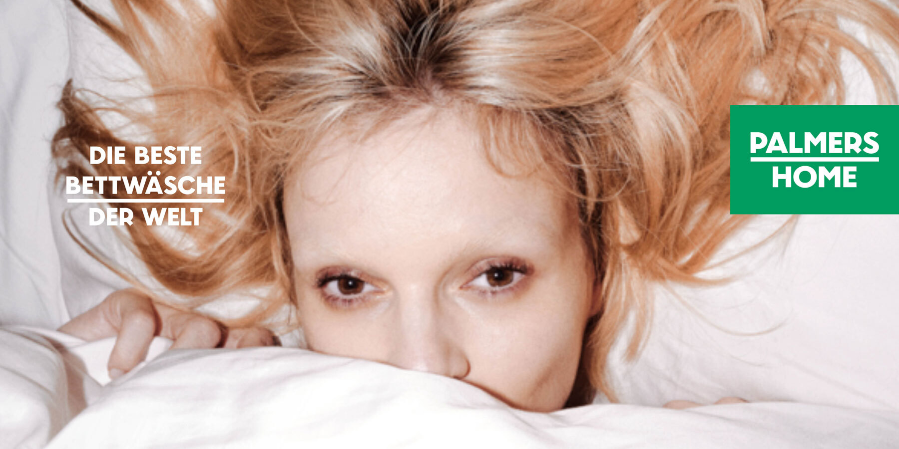 Bilder Palmers Home14