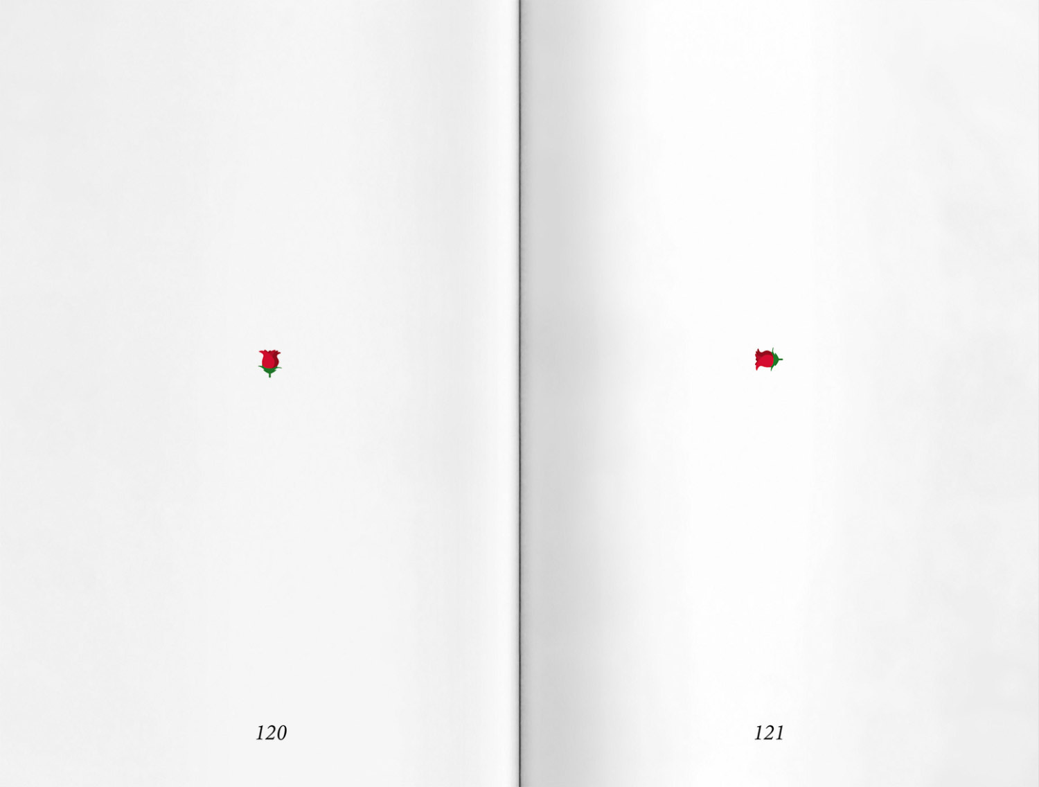 RB Surprise Doppelseite 19