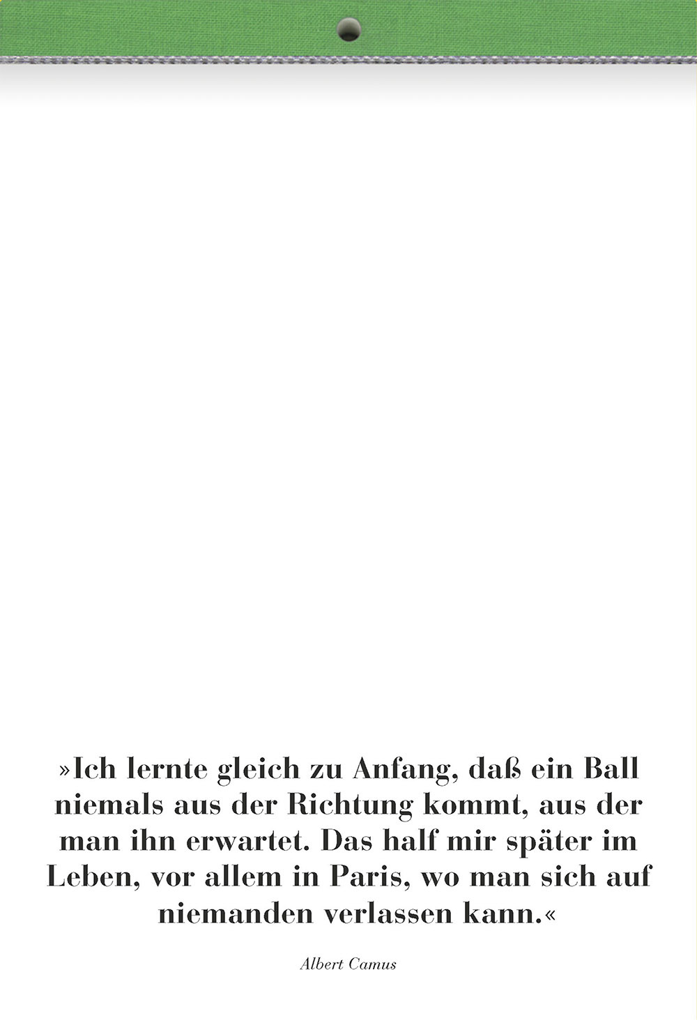 RB Fussball Kunst 2006 slider 9