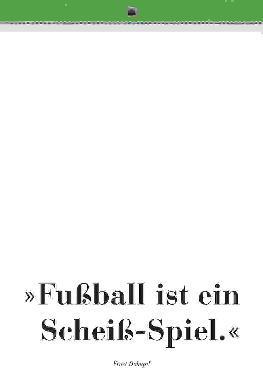 RB Fussball Kunst 2006 slider 31