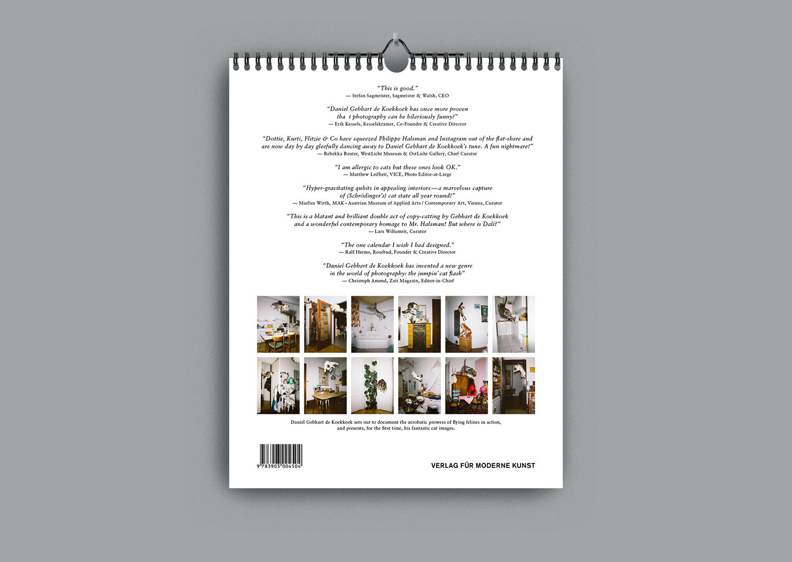 RB Katzenkalender 2016 img 1600px Breit 3