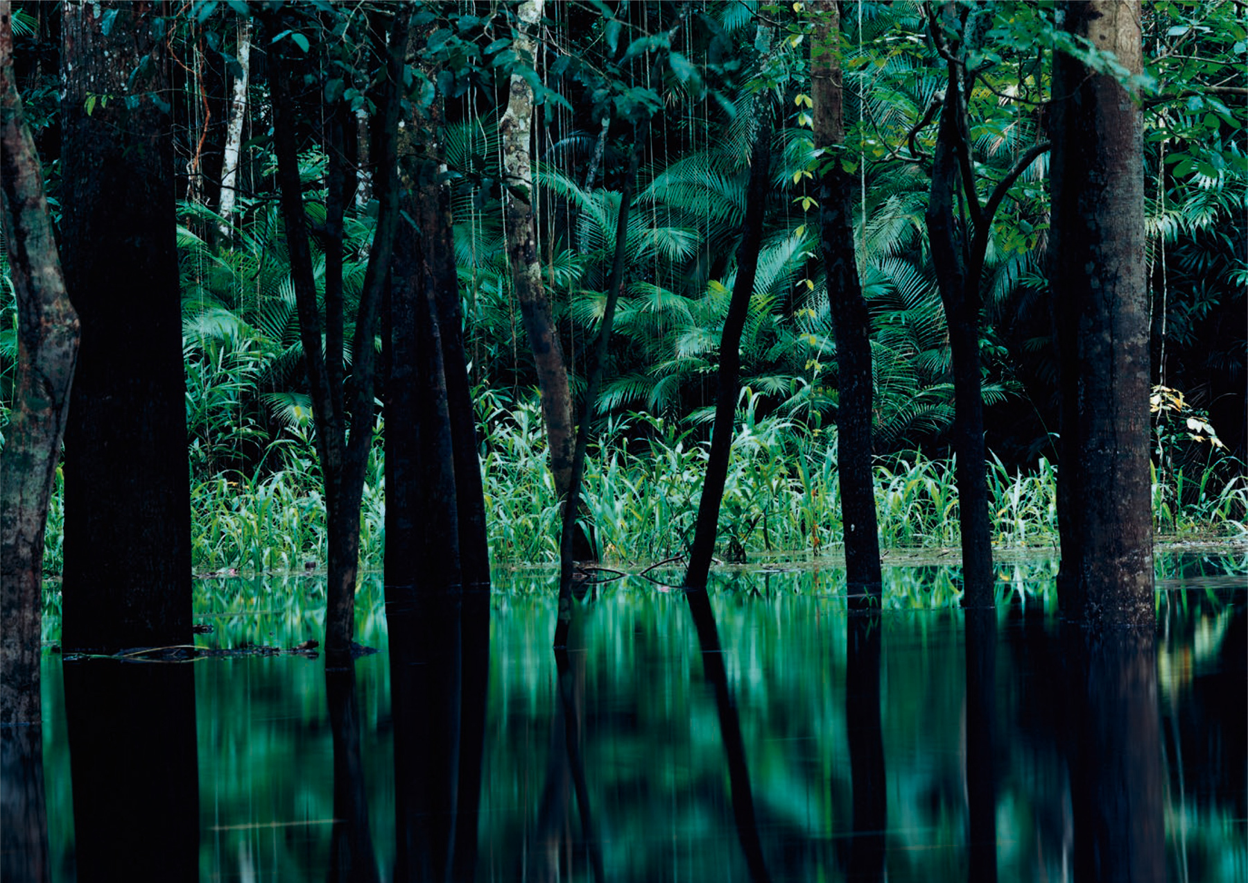 RB VFMK Landscape In My Mind 2015 img4