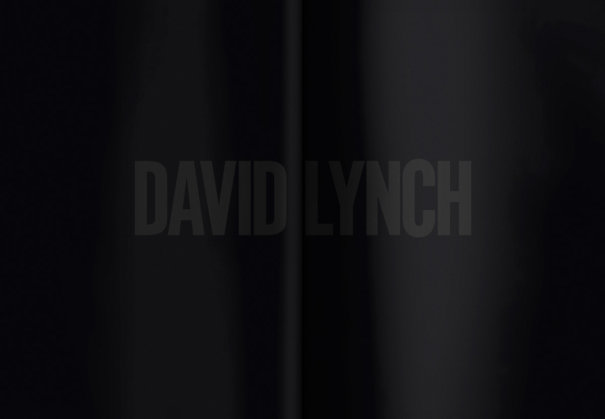 RB Manson Lynch 2011 Slider 12