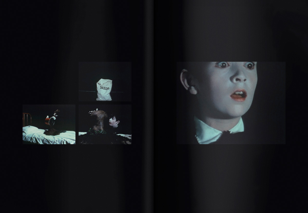 RB Manson Lynch 2011 Slider 14