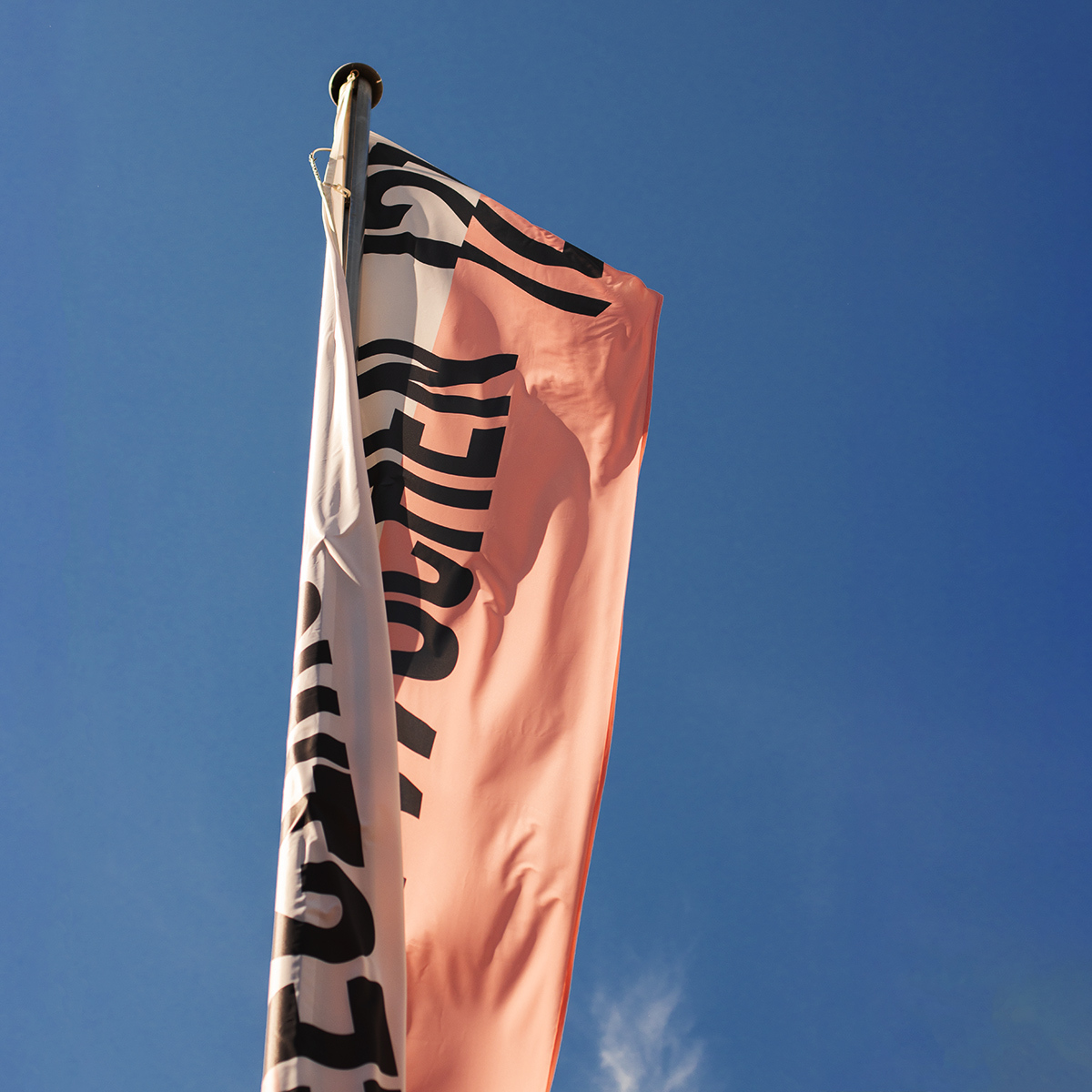 WFW21 img 1200x1200 02