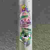Expo Sticker 2
